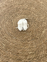 SCARPINA PAZ RODRIGUEZ